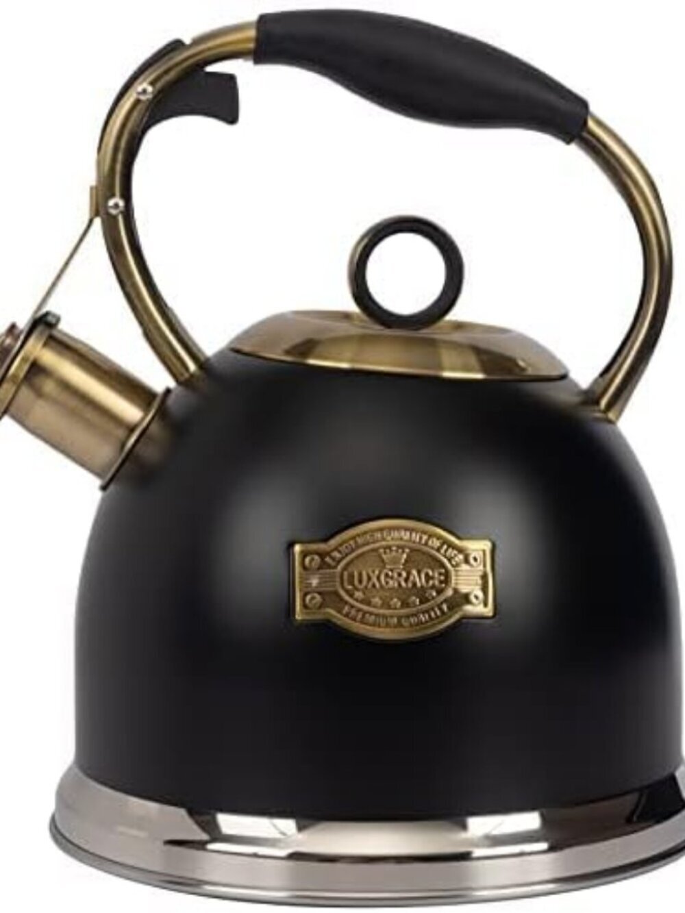 Black Whistling Stainless Steel Kitchen Tea Kettles 2.6 Quart Stovetop Induction